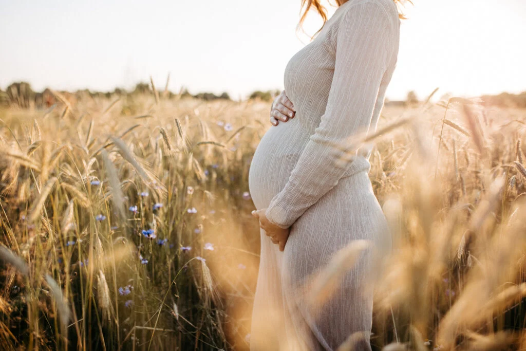 Babybauch im goldenen Licht eines Feldes